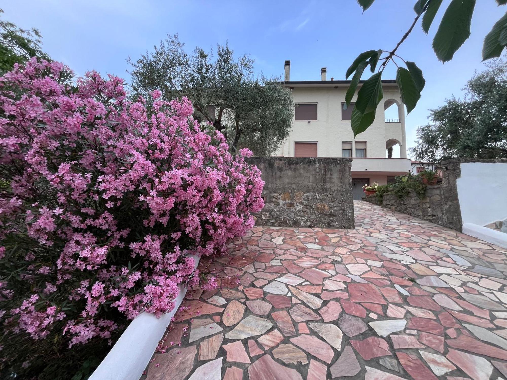 casa di Katia Apartment Collesalvetti Bagian luar foto